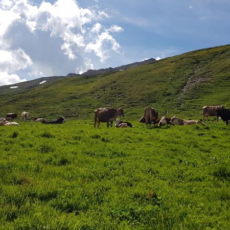 Agriturismo Malga Dell'Alpe Villa Valfurva Eksteriør billede