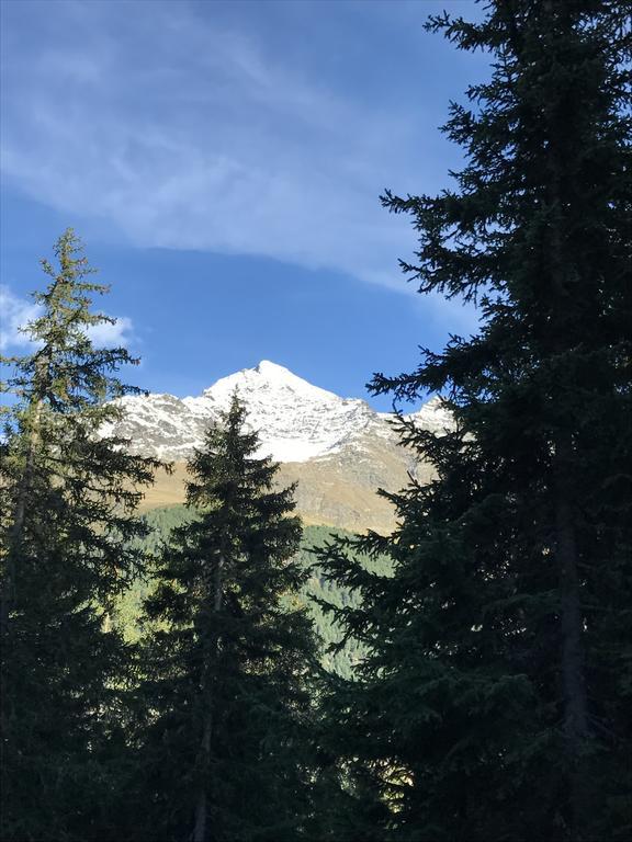 Agriturismo Malga Dell'Alpe Villa Valfurva Eksteriør billede