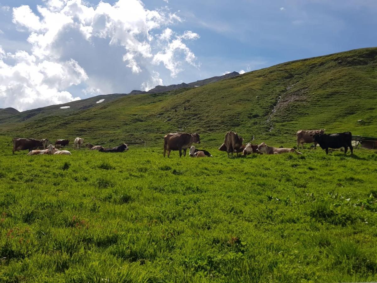 Agriturismo Malga Dell'Alpe Villa Valfurva Eksteriør billede